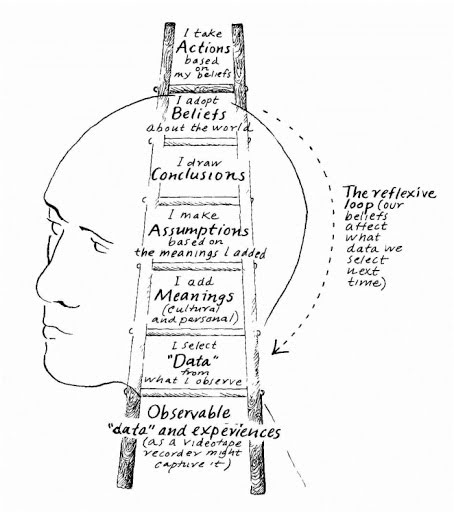 The Ladder of inference