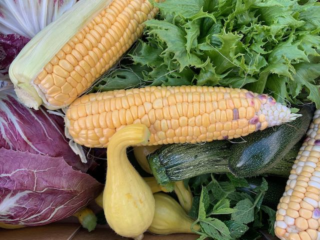 vegetables reap what you sow - collection of veg